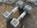 12lb Pair of Cast Iron Dumbbell’s Troy Barbell