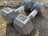 12lb Pair of Cast Iron Dumbbell’s Troy Barbell